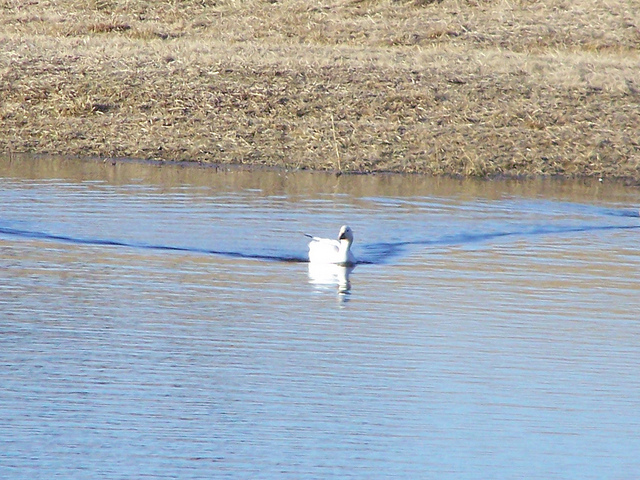 8541195283_40e04559e2_z