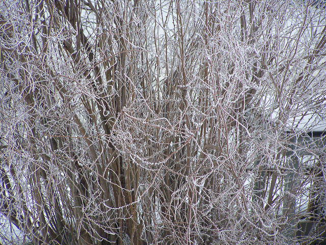 8498025024_dab947dcaa_z