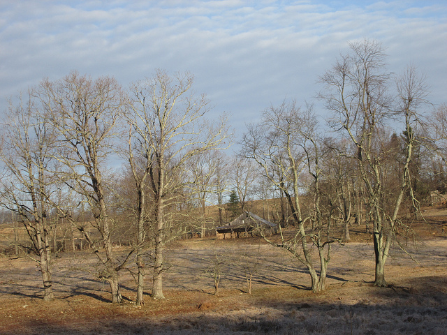 11971788826_00423cf7ca_z