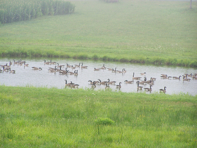 7727220846_7e75d9d346_z