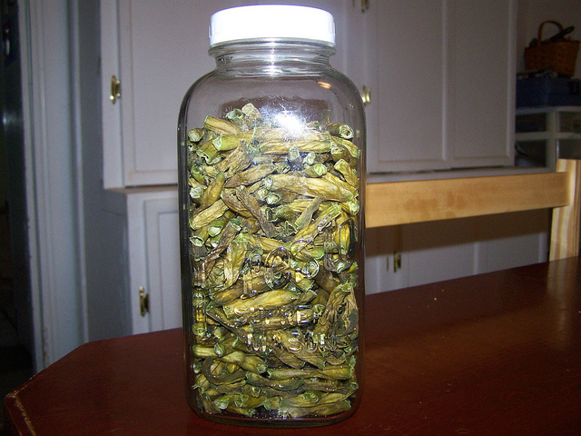 9615875652_c3deec3d64_z