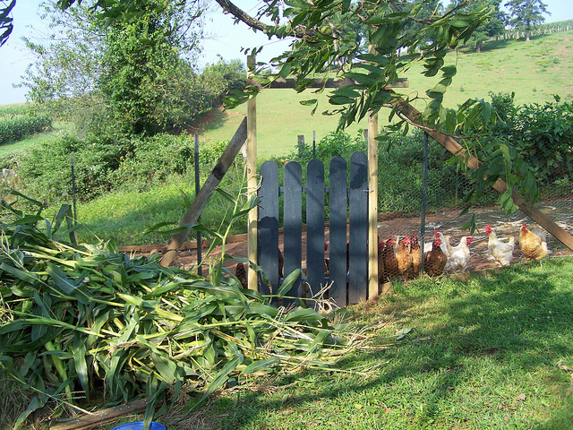 9608504058_a898ea1812_z