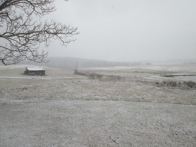 12101307853_c40bd87274_z