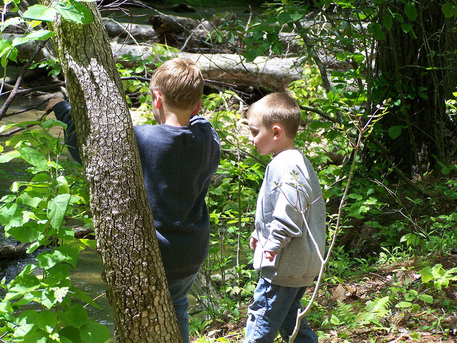 8733323170_367054c6bd_z