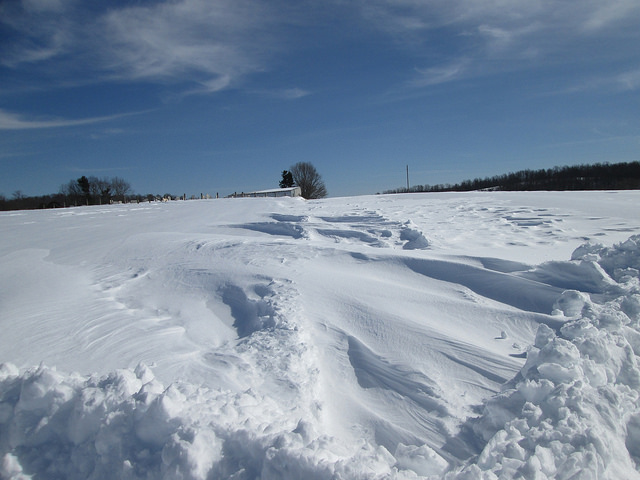 12540079365_d4b9dc1b20_z