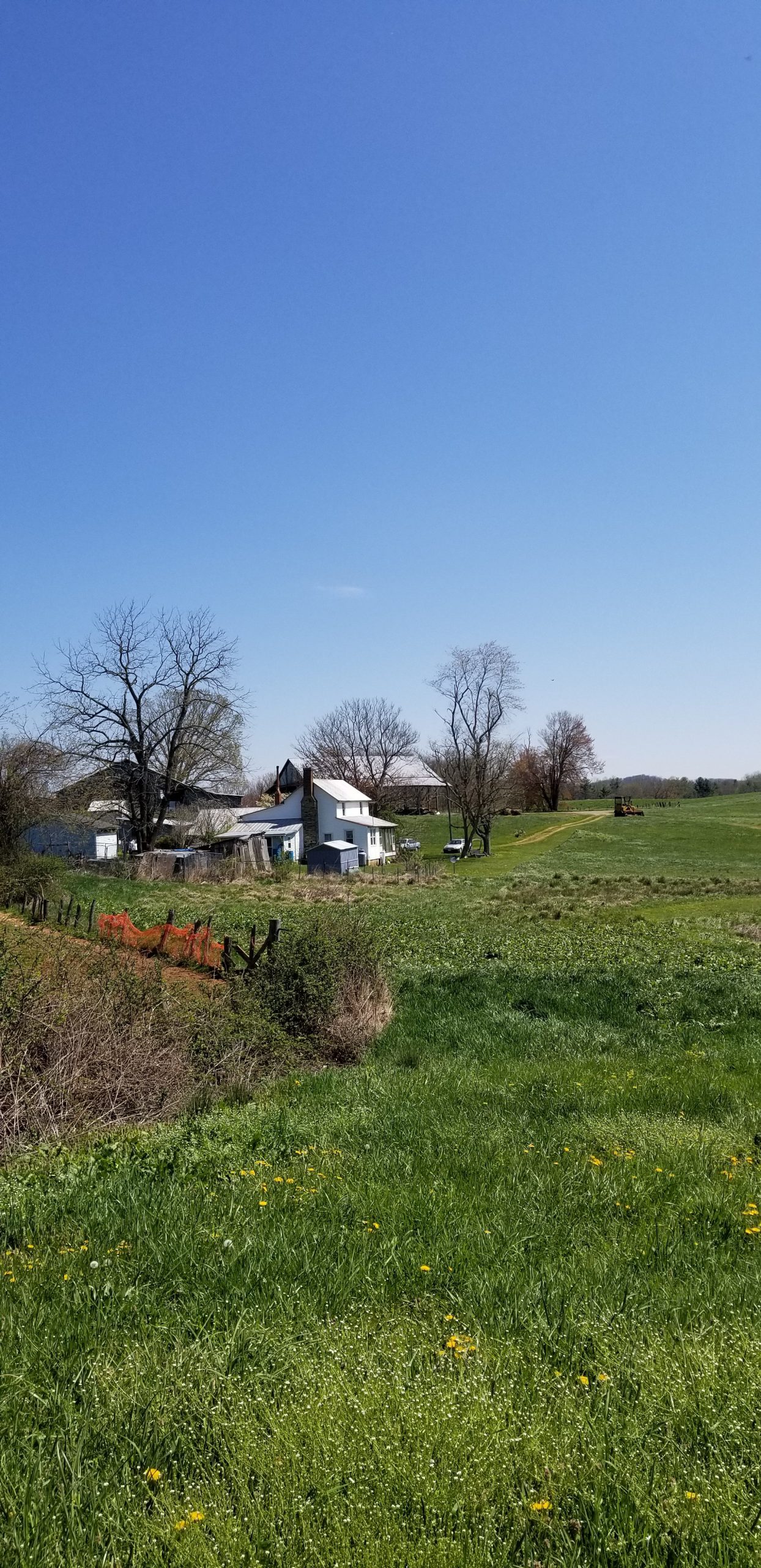 A Little Walk A Little Walk