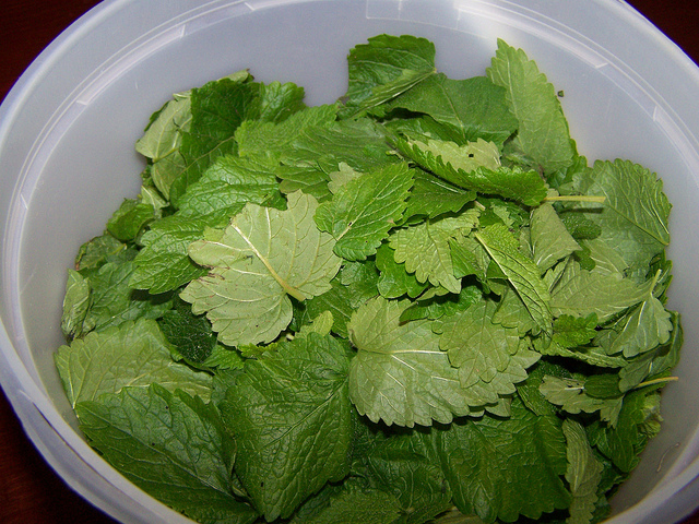 8754991606_69afcdfb38_z