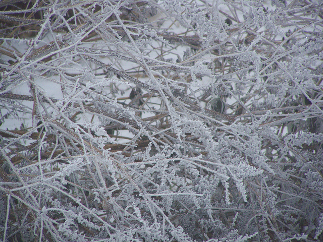 8496923141_edce2eaf95_z