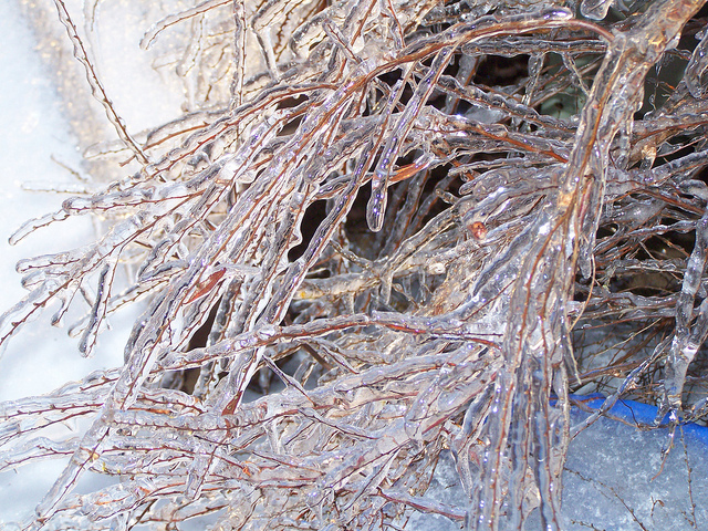 8318218430_2d2f0ee143_z