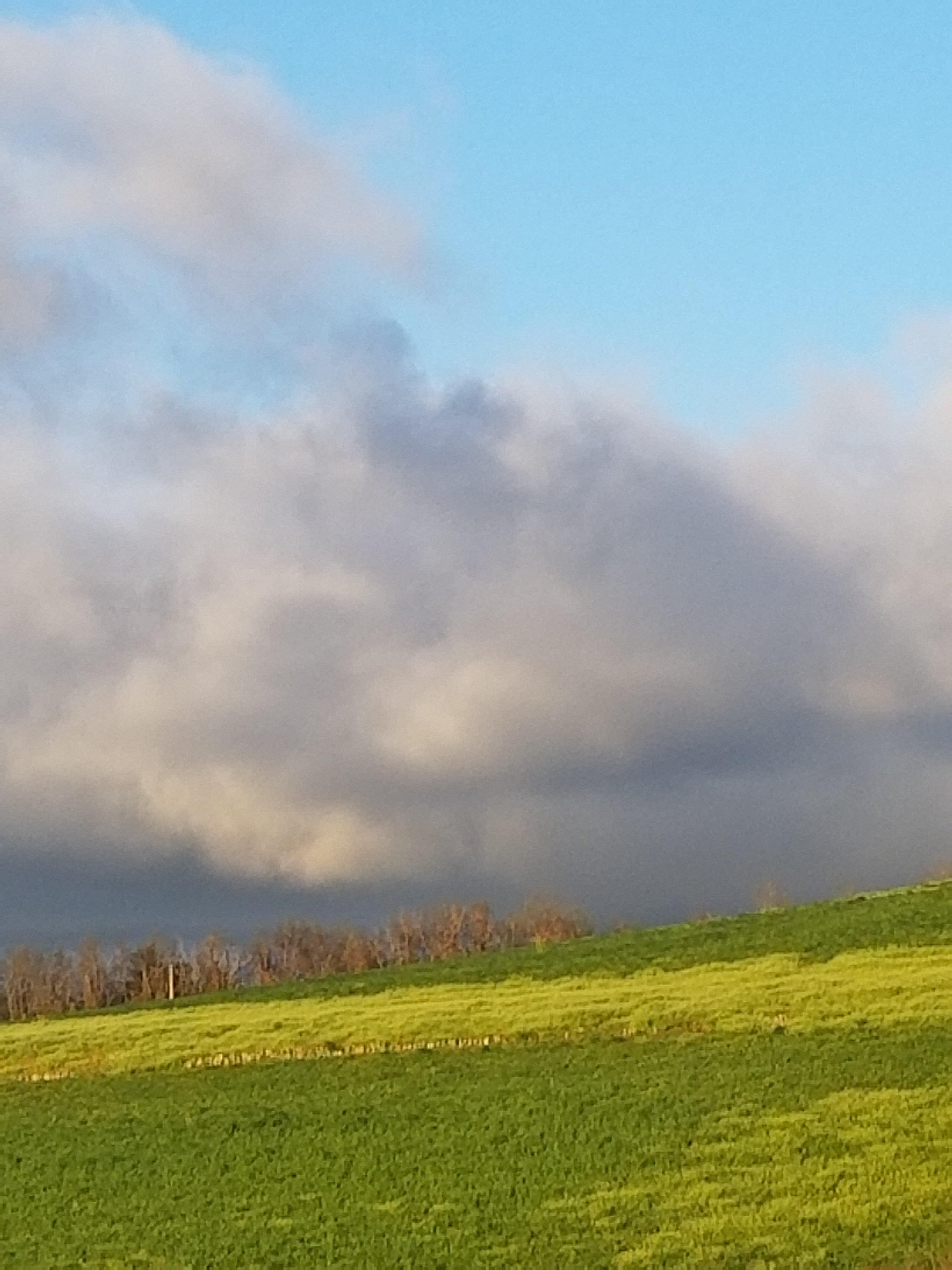 Good Morning Good Morning