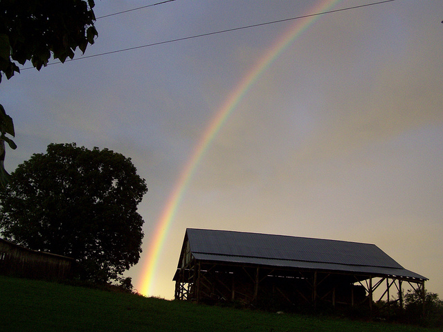 9904160216_3b4421b527_z