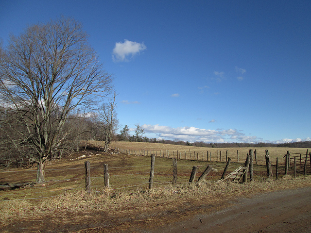 11971206053_bbc6329bb6_z