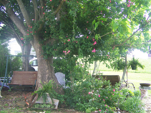 9035622968_0da88f41c8_z