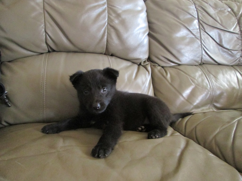 Meet Ezzie Meet Ezzie