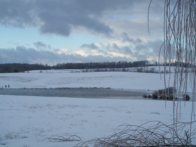 8589407314_9f8cfd8767_z