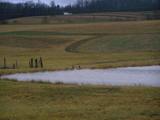 8386877156_e069357be8_z