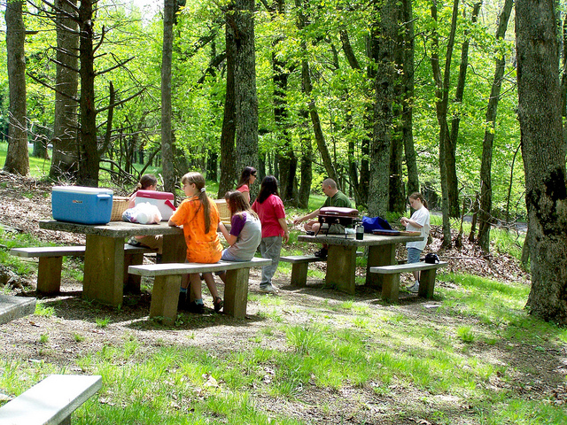 8818551528_287d4065c8_z