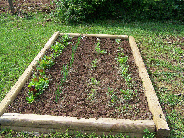 8871105000_53655328a6_z