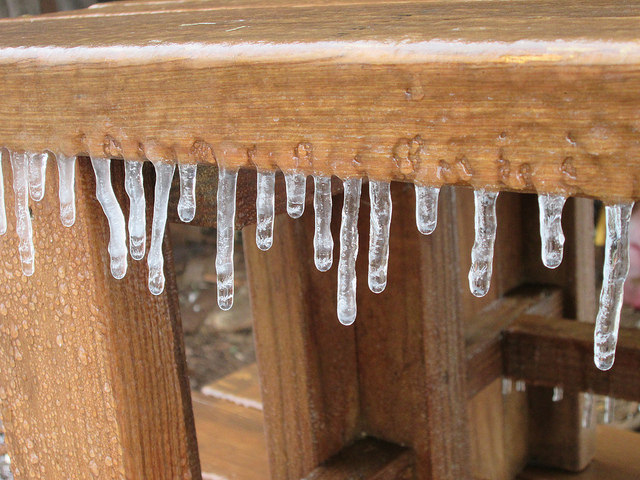 12323154484_dd282124e2_z