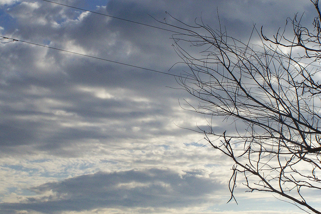 8260735785_75ffe088a5_z