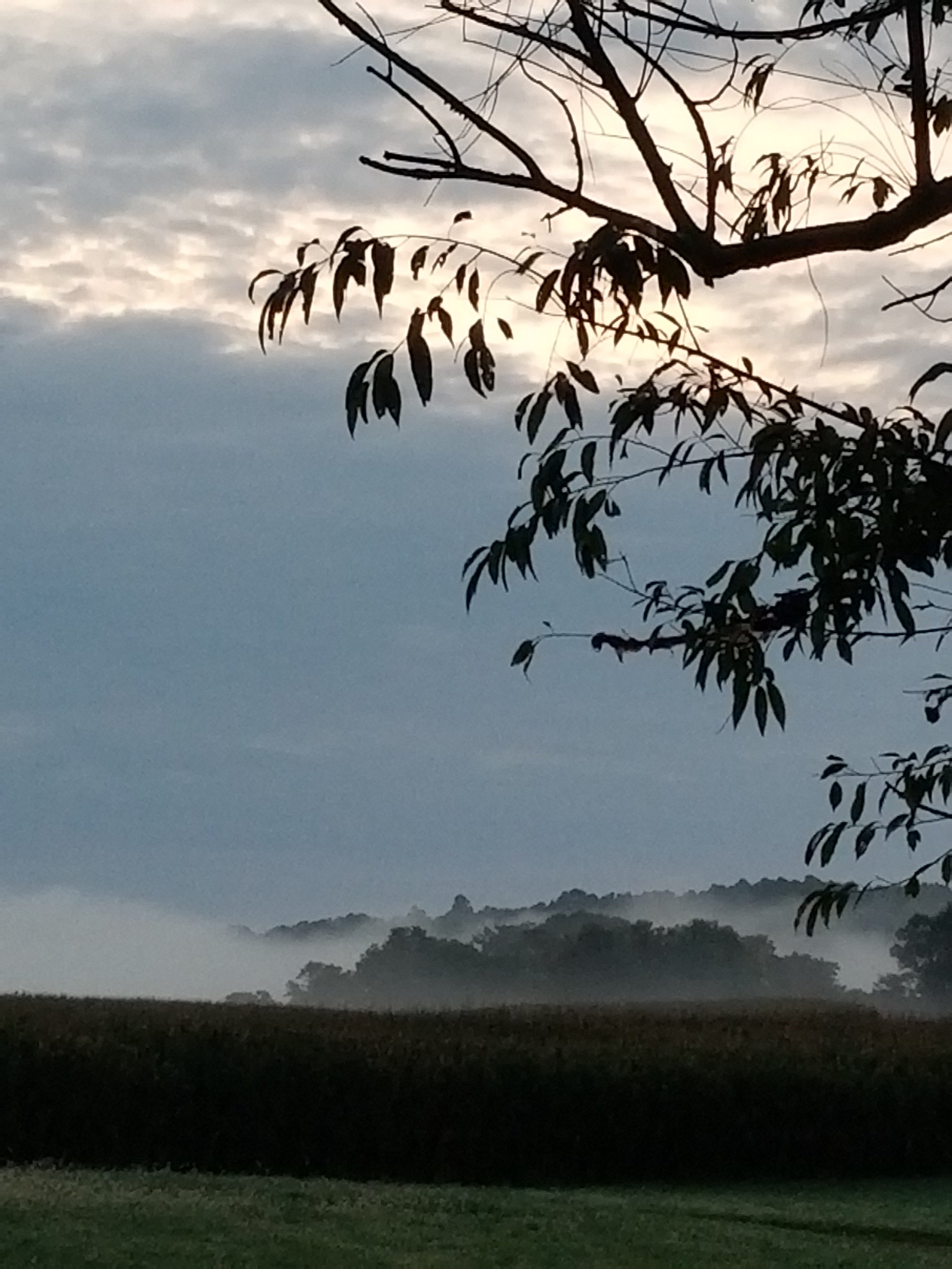 Sunday Morning Sunday Morning