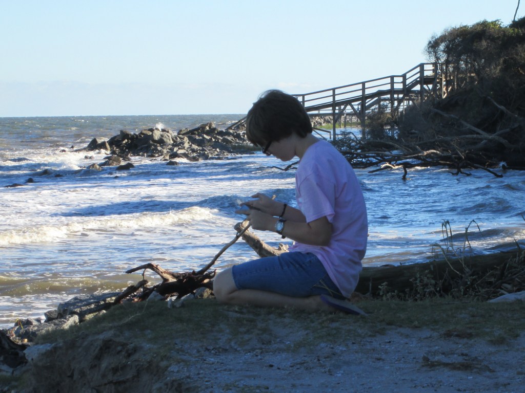 Another Beach Picture Another Beach Picture