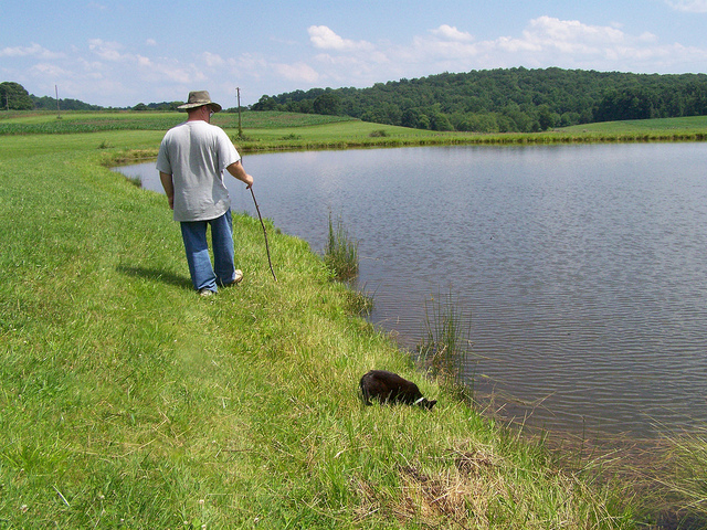 7456196234_92ae7bff76_z