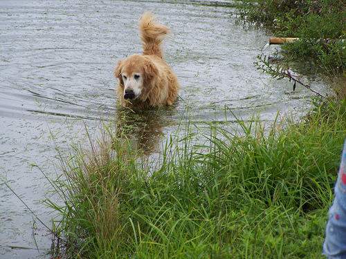 6173522854_c63ab01d0d