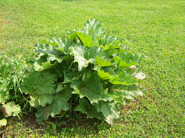 8870500669_cd89c19e66_z