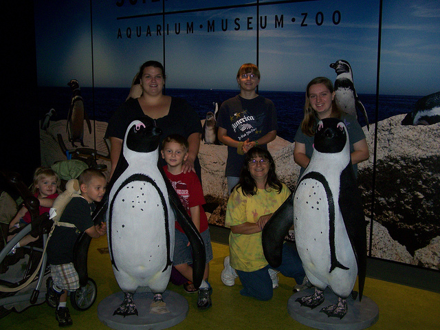 9557043786_9bab742bce_z