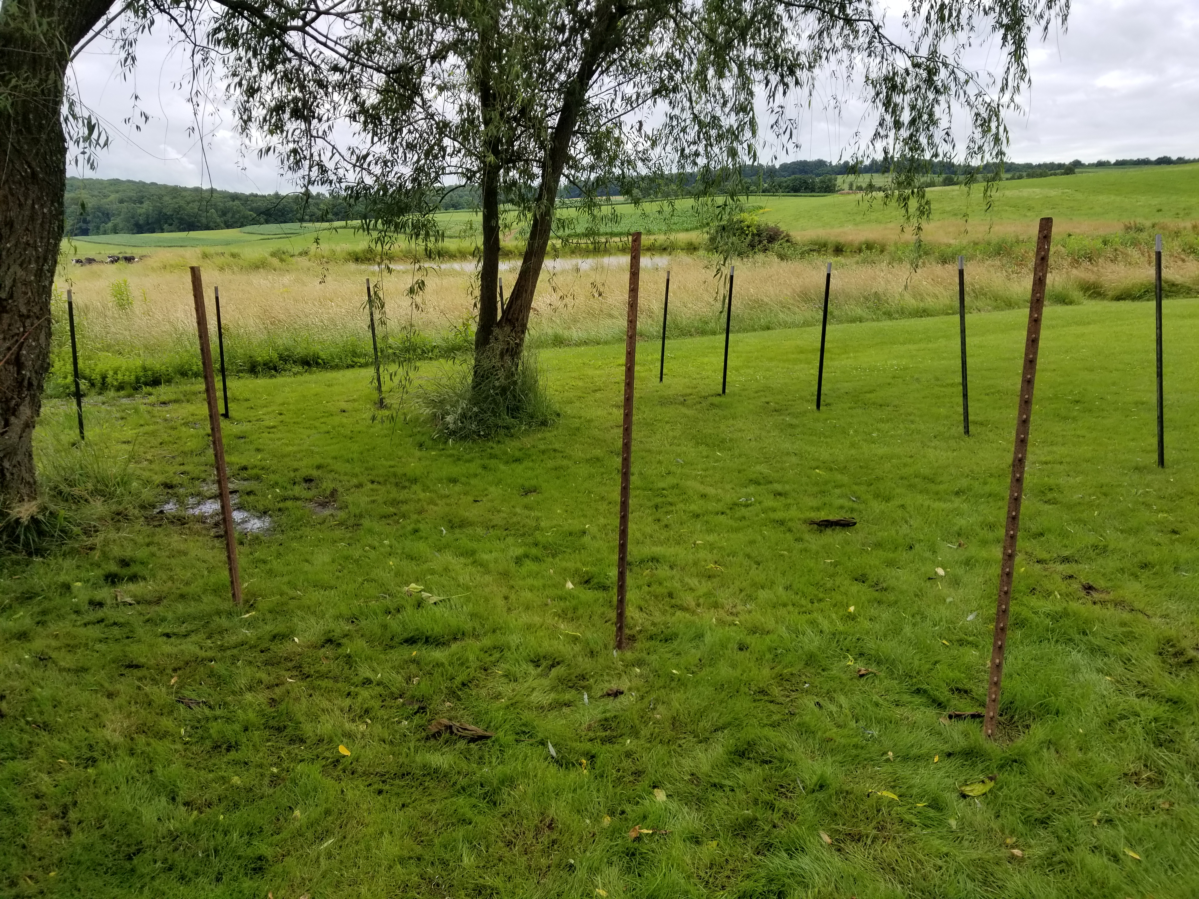 Duck Lot Expansion Duck Lot Expansion