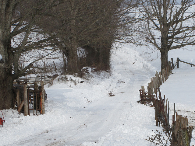 12590619324_c68d9af76b_z