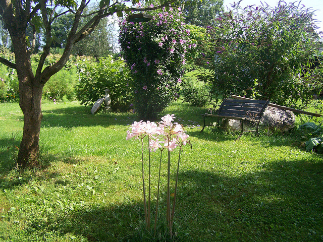 9515183281_5bfeae37c4_z