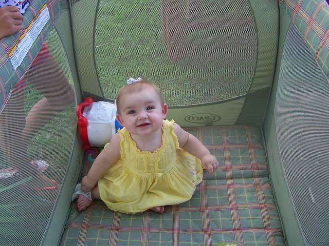 7507917478_b72e25f15f_z