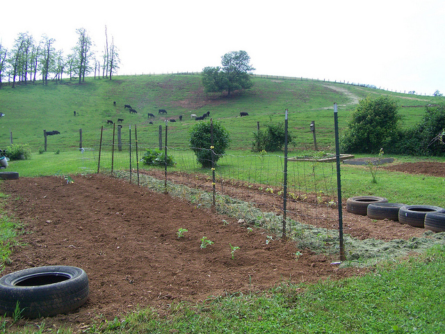 8871092210_69b19fcee4_z