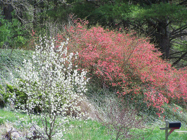 8657581115_fd1772948b_z