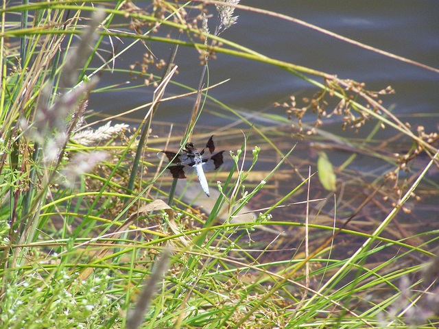 7456193586_3061ca43da_z