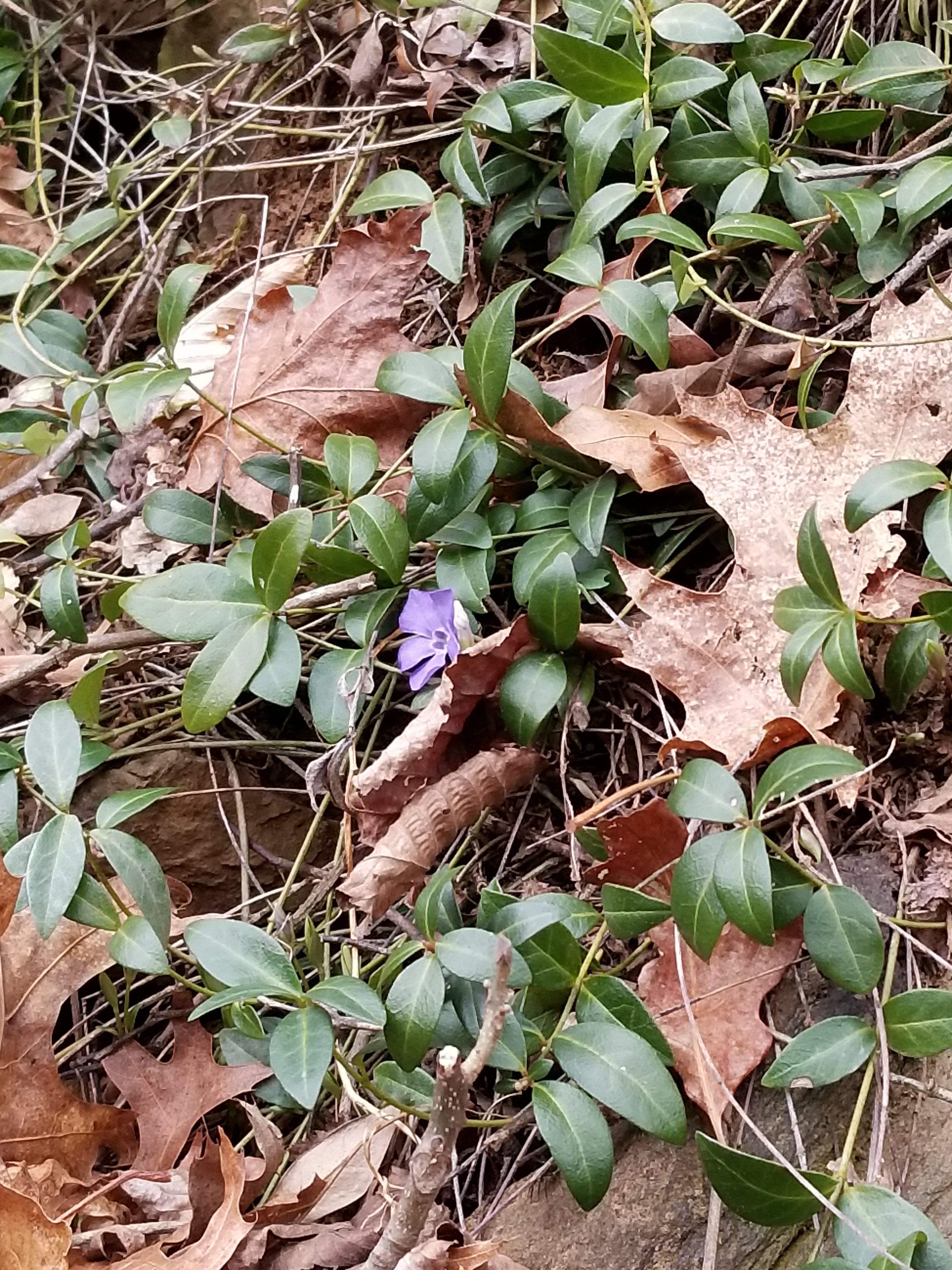 Spring Is Coming Spring Is Coming