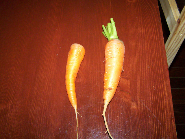 9605207089_e469cfcf93_z