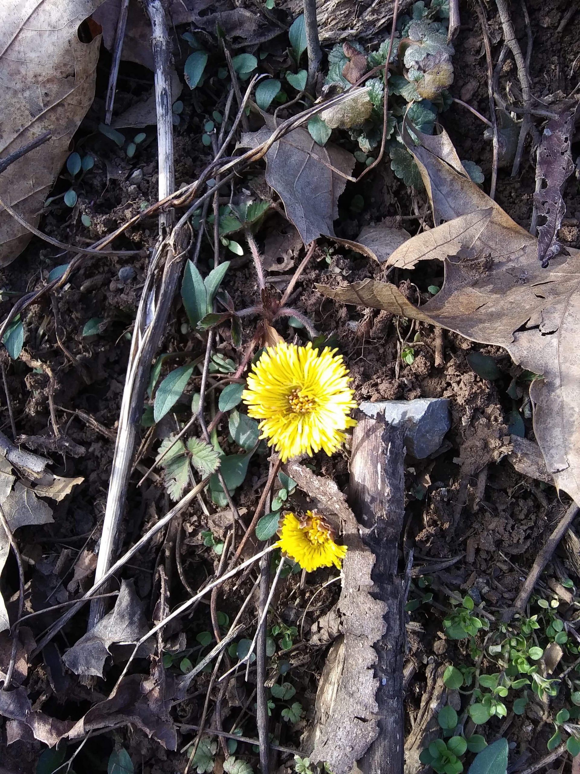 Spring Is Coming Spring Is Coming