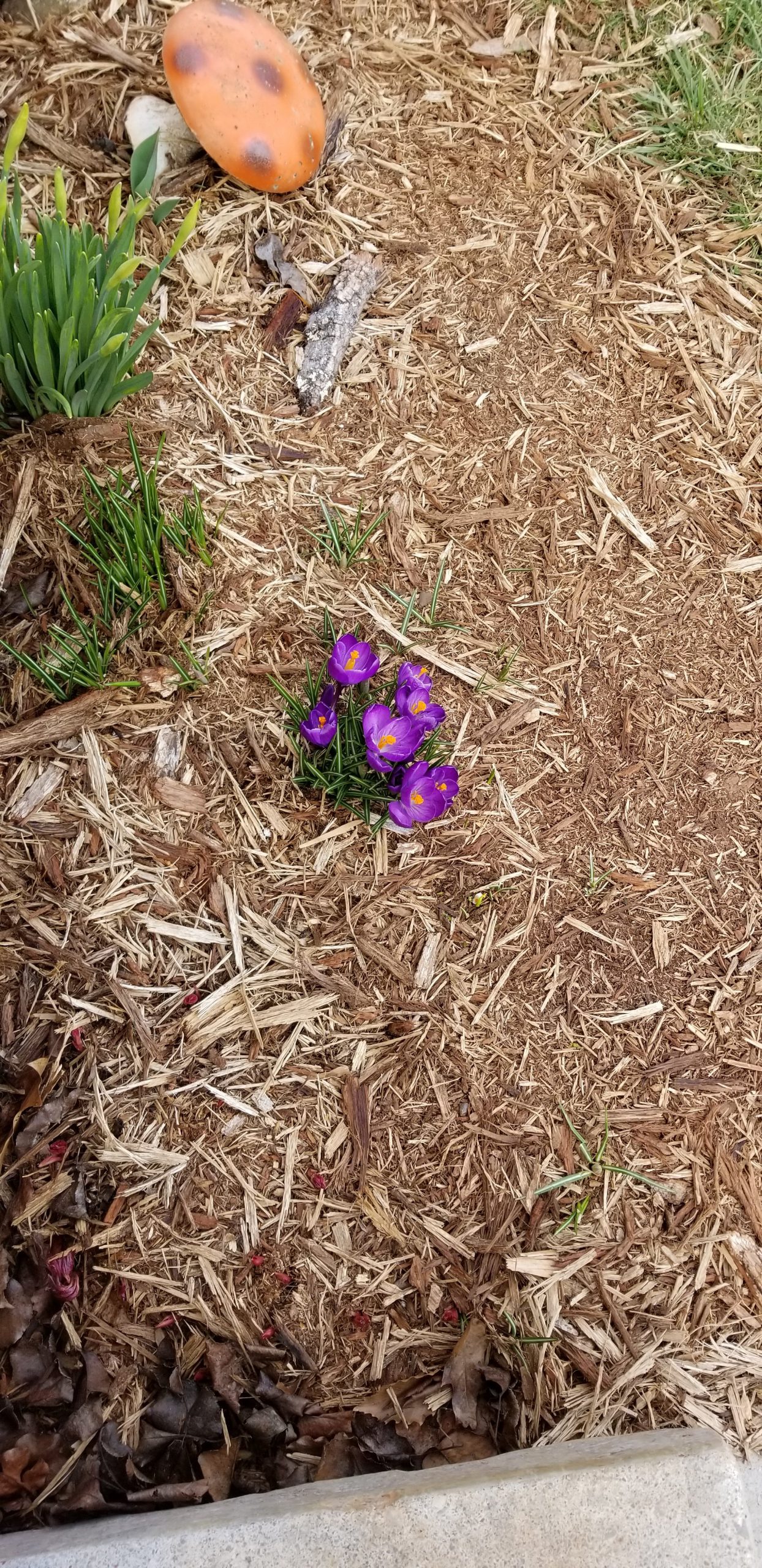Garden Stuff Garden Stuff