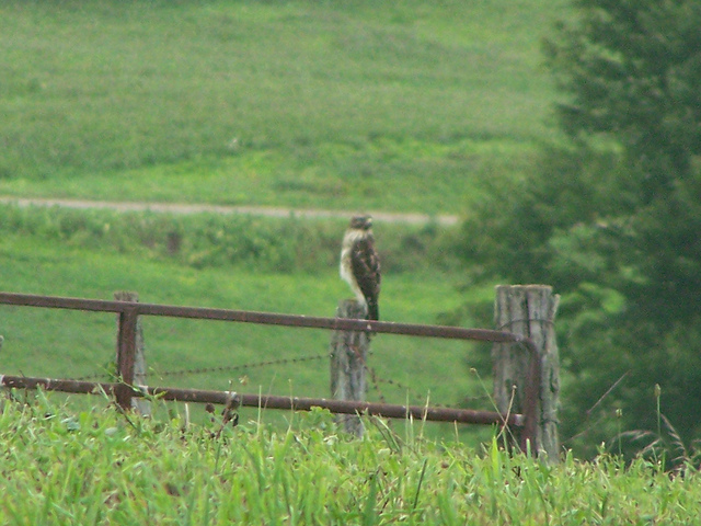 7795963644_6d26b73999_z