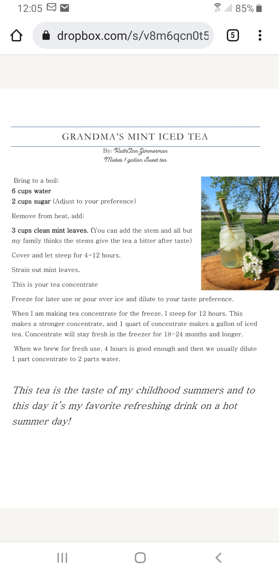 Mint Tea Concentrate Mint Tea Concentrate