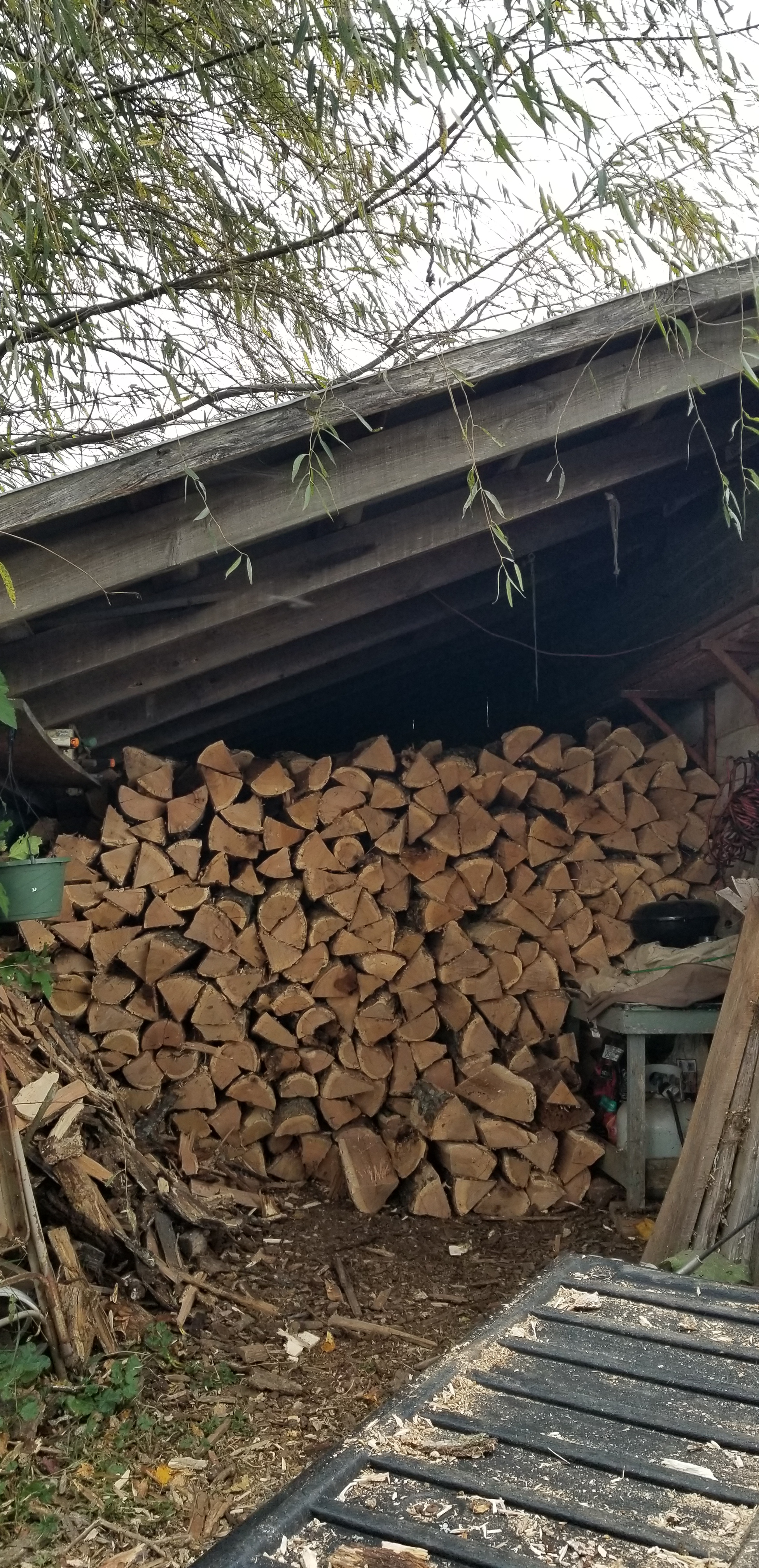 Wood and a&nbsp;Walk