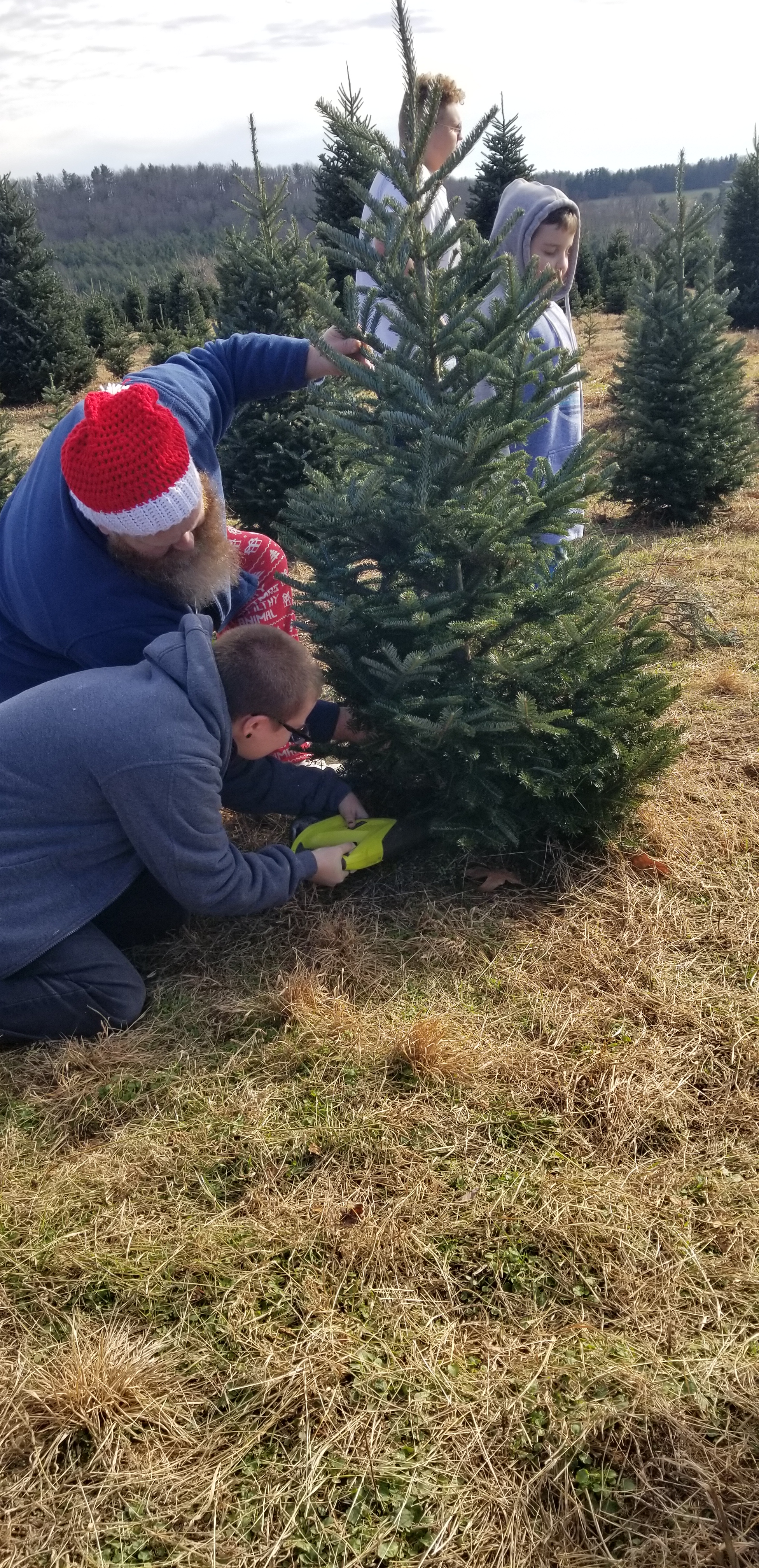 First Ever Real&nbsp;Tree