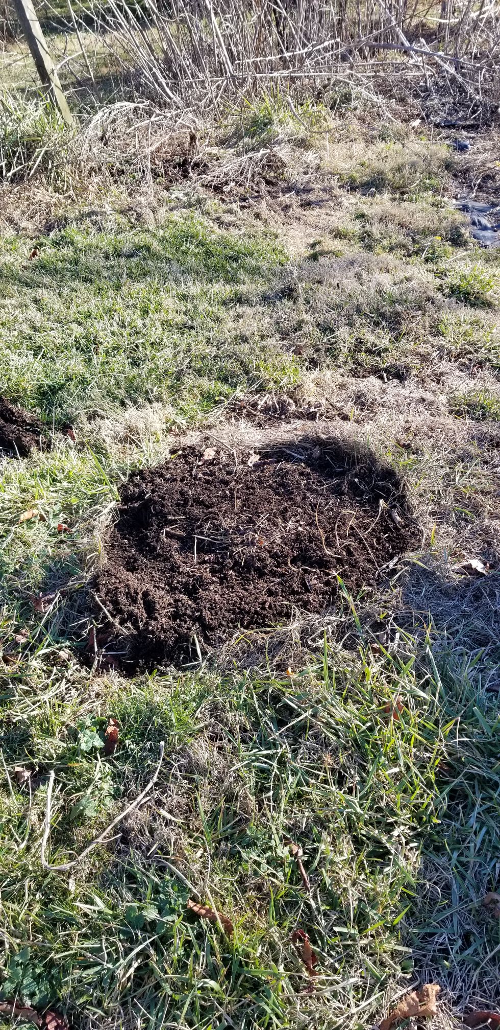 Another Beautiful Day