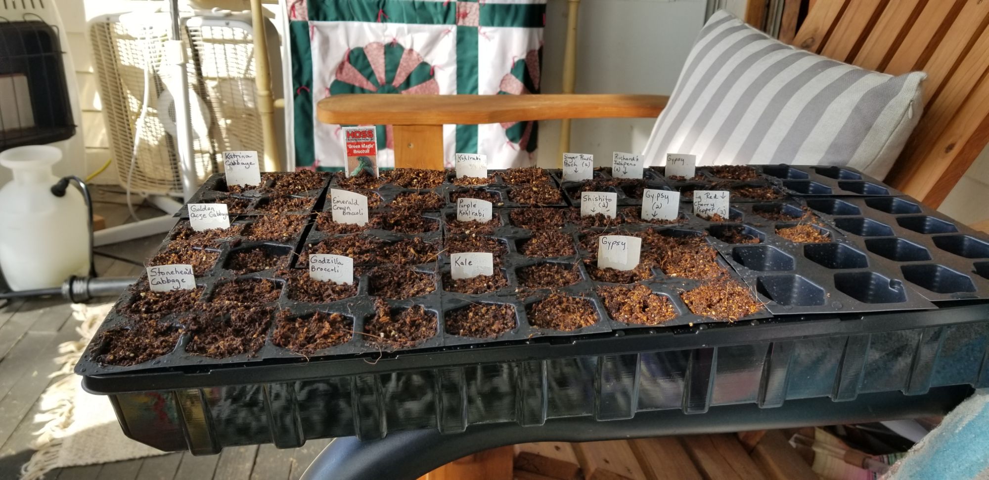 Seed Starting