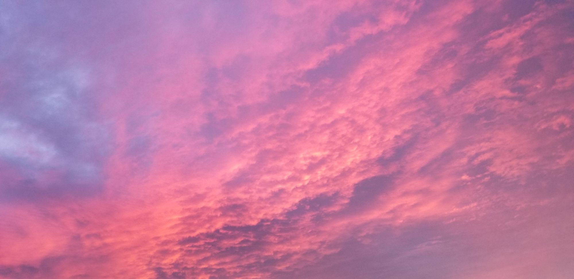 Christmas Decorating 2024