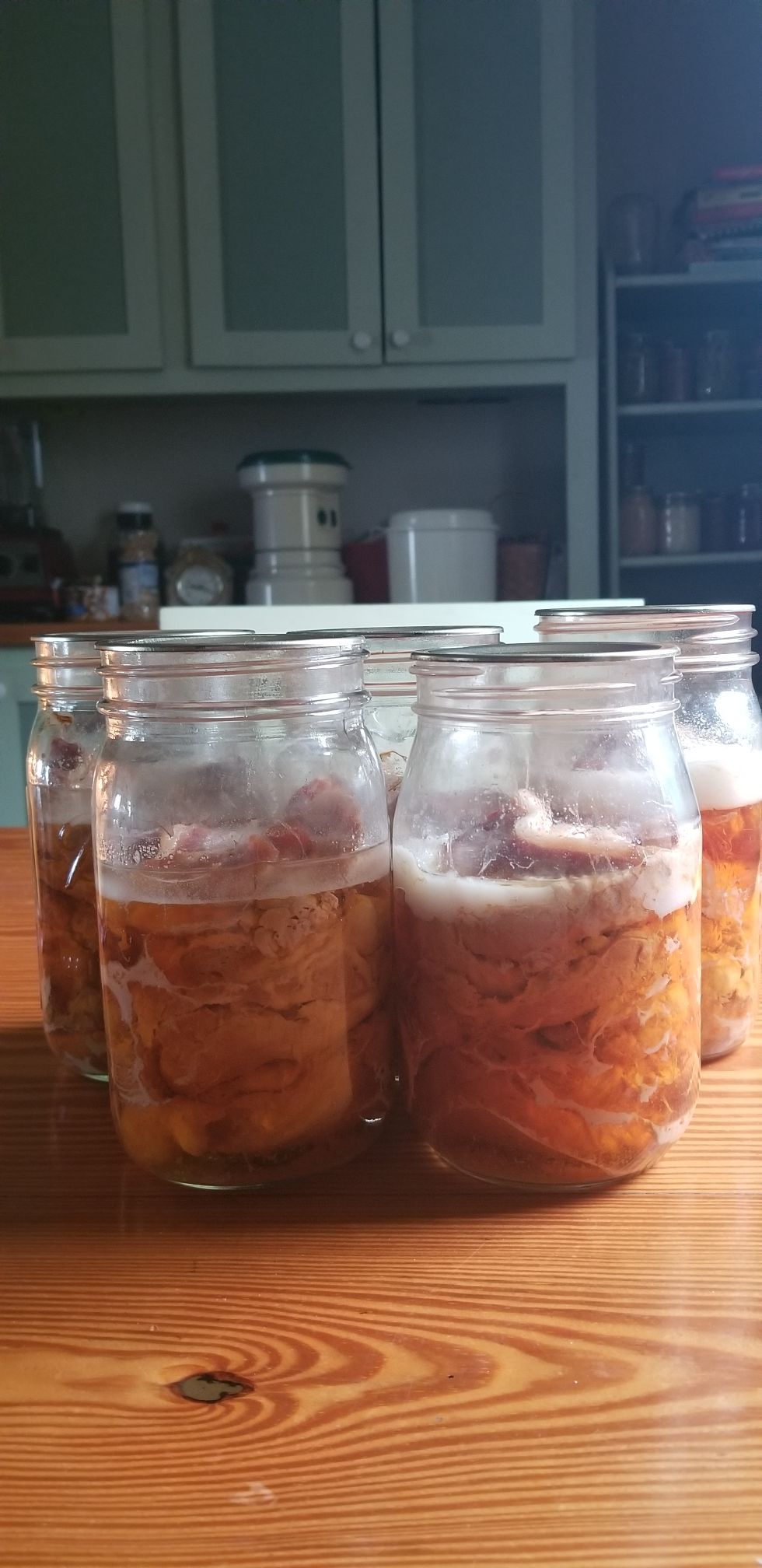 Canning Pork