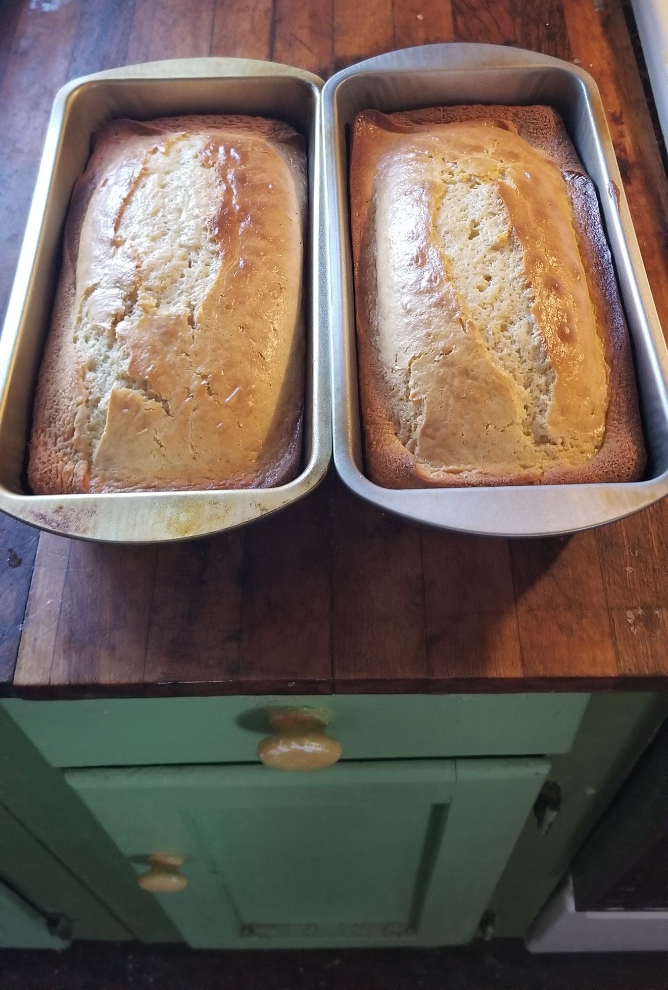 Condensed Milk Cake Condensed Milk Cake